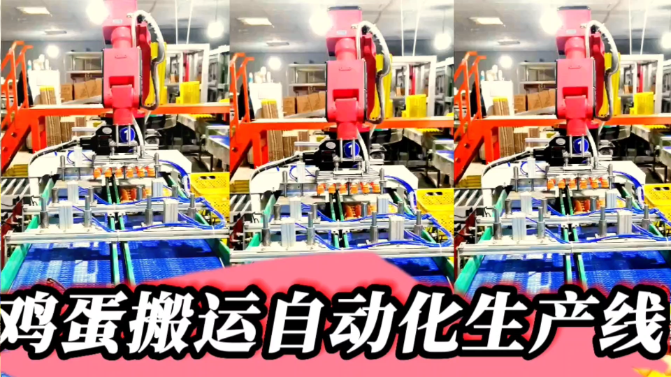 鸡蛋分拣自动化生产线中有哪些工序江苏常州莱柯工业？